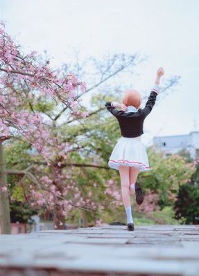 女孩的小森林_高清在线播放